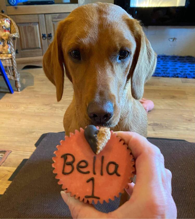 Personalised Pupcake 